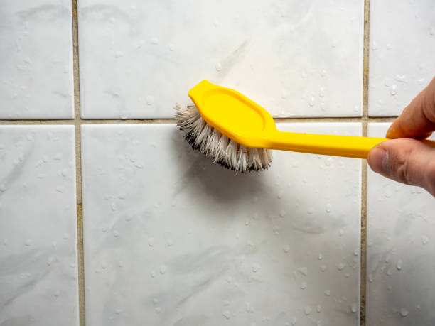 Best Insurance-Related Mold Remediation in Ladue, MO